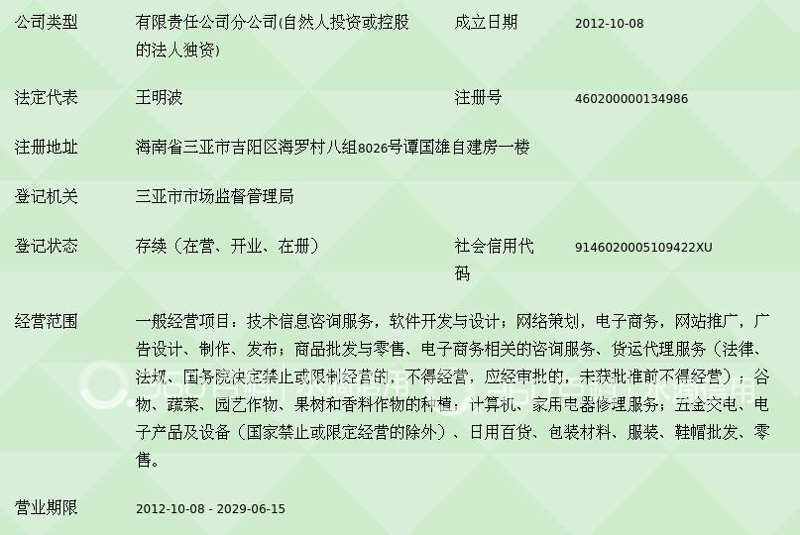 信息的海洋:海南经济咨询背后的精彩